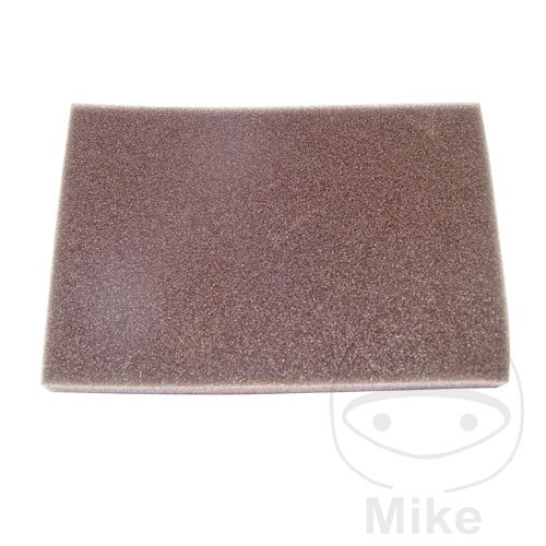 Athena schiuma del filtro - athena,